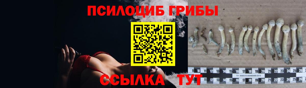 где найти наркотики  Вход с VPN  Новочеркасск  Галлюциногенные грибы MAGIC MUSHROOMS 
